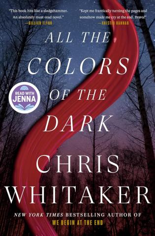 The title "All the Colors of the Dark" and the name Chris Whitaker are written in thin white font. The background is the perspective of the night sky from a forest floor, that has a thick red paint stroke curved down it from top to bottom.