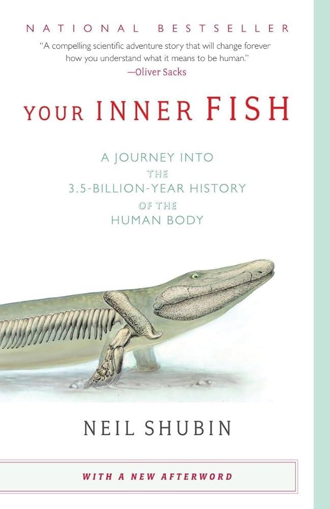 inner fish